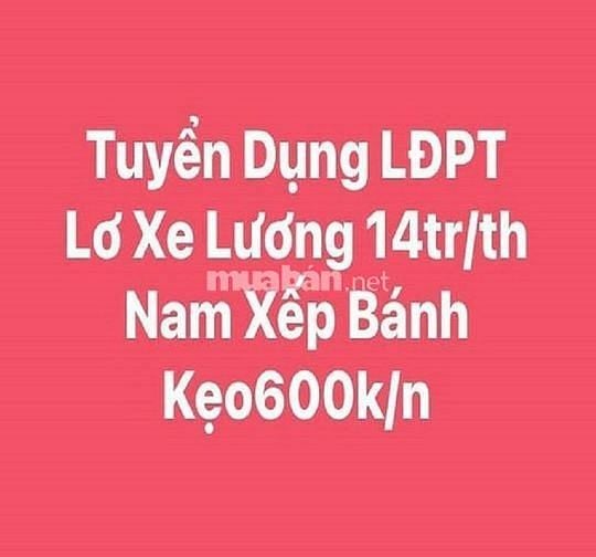 Tuyển Tài Xế B2-C, Lơ Xe Tải Và Nam Phụ Kho 16tr/tháng
