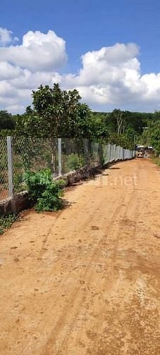 Cần bán lô đất giá đầu tư dễ phân lô tách sào, xa bảo bình, xuân Mỹ