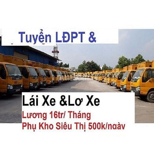 Tuyển Tài Xế Lái Xe, Phụ Lơ Xe, Nam Phụ Kho 16tr/tháng Tại ĐĂK NÔNG