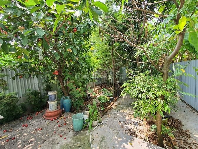 Biệt Thự Giá Rẻ Quận 7, đường lớn 14 m, dt 7m*42m,Nhà 3 Tầng, 20ty