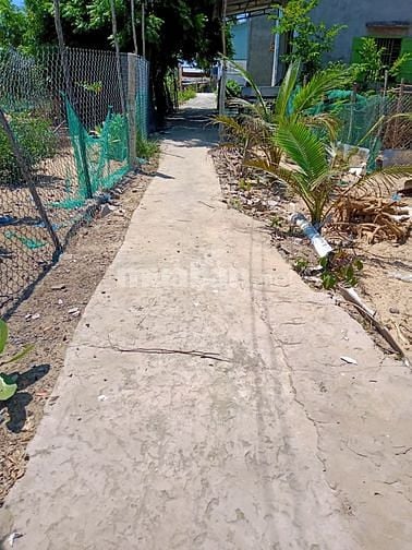 Cần tiền bán gấp đất xã hòa minh 5 x 20 Tuy Phong , Bình Thuận.