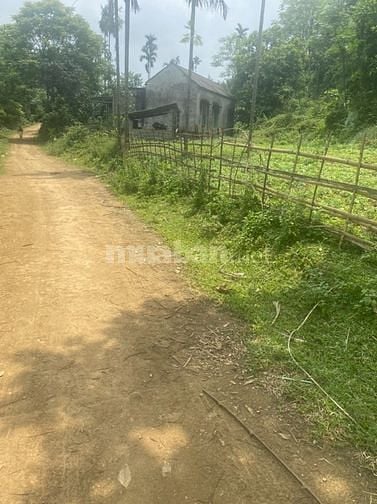 6xx triệu vuông nở hậu tựa sơn đường ô tô 1000m 400tc Tân Lạc Hòa Bình