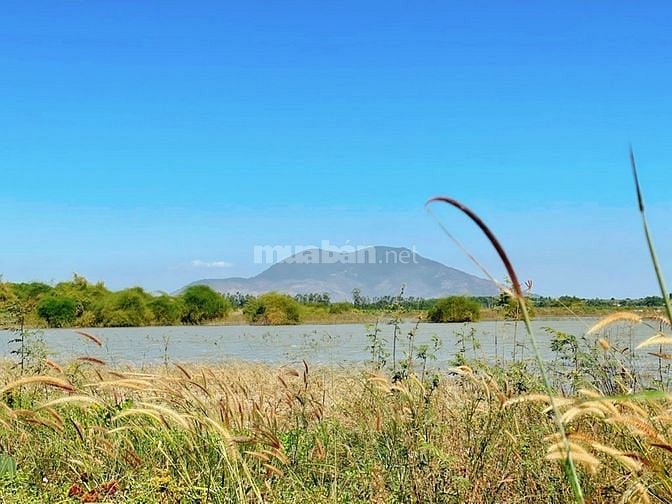 Bán 1,6ha View Hồ Núi Đất Cực đẹp - Cực Mát - Giá Cực êm chưa đầu tư