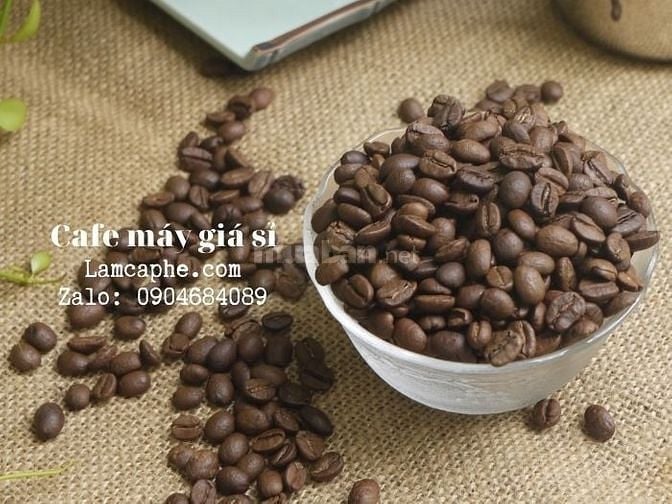 Cà phê máy cà mau cho nhà phân phối giá sỉ không áp doanh số
