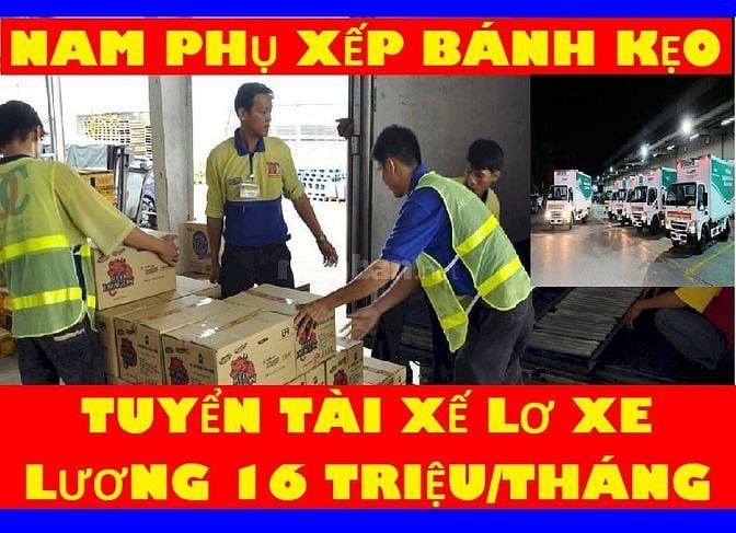 Thông Tin Tuyển Dụng ==> Cần Gấp 10 Tài xế + 20 Lơ xe + 30 Nam Pho Kho