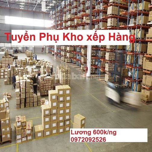 Vũng Tàu Cần Gấp 10 lái xe 20 lơ xe và 50 nam phụ kho LĐPT
