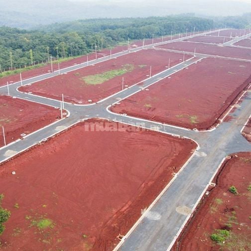 Bán đất đầu tư cơ hội sinh lời ngân hàng hổ trợ lên đến 50%