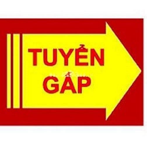 Xưởng may thời trang cần tuyển gấp tổ hợp may gia công, thợ may