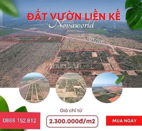 siêu hot - đất vườn liền kề novaworld phan thiết 