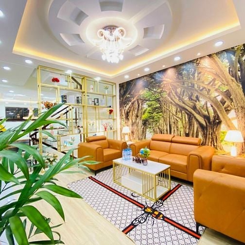 CC bán nhà MT Trần Lựu_Chi Cục Thuế, dt=5x20, Hầm+2L+ST, hđt=60_16ty