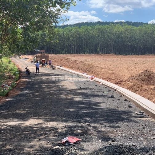 Đất mặt tiền đường 32m đồng phú bình phước