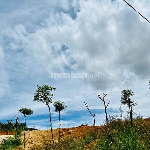 Cần bán gấp lô đất nghỉ dưỡng ven suối, 