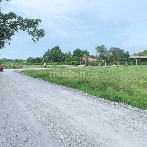 Ấp Cây Da, Xã Hiệp Thạnh, DT 5x40m thổ cư, rớt nhựa 100m khu dân cư.