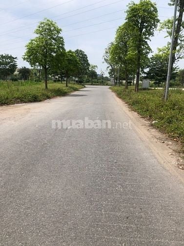 Bán gấp LK Thanh Hà 100m2, đường 17m, gần hồ, chung cư, trường học