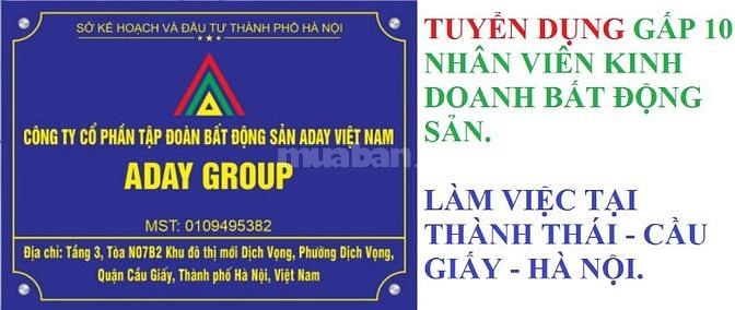 Cần tuyển NVKD Bất Động Sản thu nhập cao, làm việc tại Thành Thái - CG