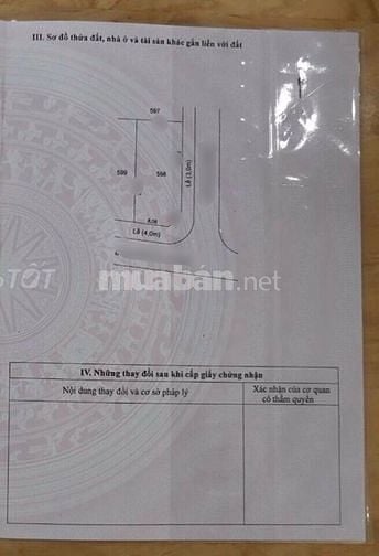 Đất Thổ Long An,Hóc Môn,Bình Chánh 10x30 đường oto5m 1ty100tr có TL