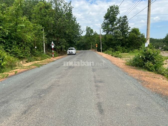 Chủ cần bán gấp lô đất ở mặt tiền DH Đồng Tiến - Tân Phước đường 32m.