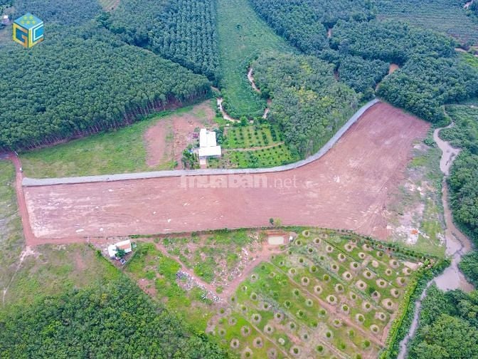 đất thị trấn tân khai ngang 10m chính chủ gửi bán gấp