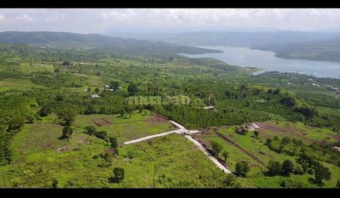 Bỏ phố về rừng núi,săn mây.DT 1,2 sào chốt 1,8 tỷ SHR.Cách chợ 4km.