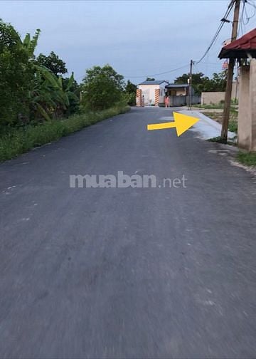 Bán lô đất mặt đường nhựa 6-7m ở Quang Hưng- An Lão- Hải Phòng