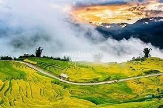 SIÊU ĐÁT NỀN GIÁ RẺ ĐẸP CƠ HỘI ĐÀU TƯ SAPA 2.0