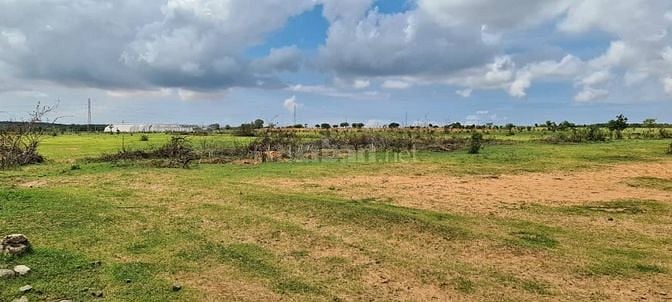 Hơn 5000m2 đất nông nghiệp gần đường liên huyện và kênh nước
