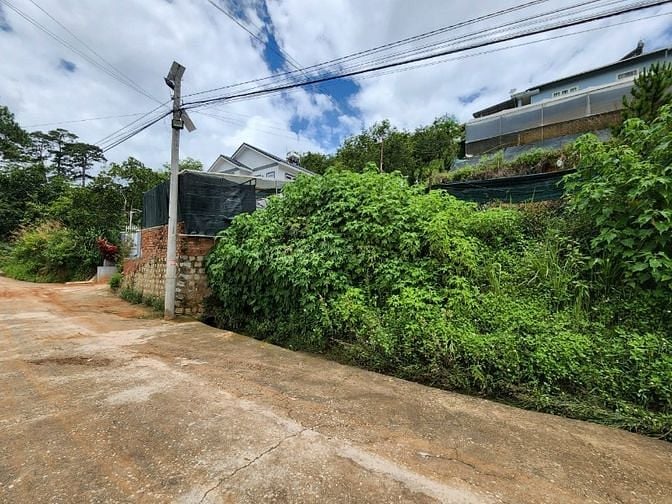 Bán lô đất 250 m² hai mặt tiền cách chợ Đà Lạt 2,5km giá 11 tỷ