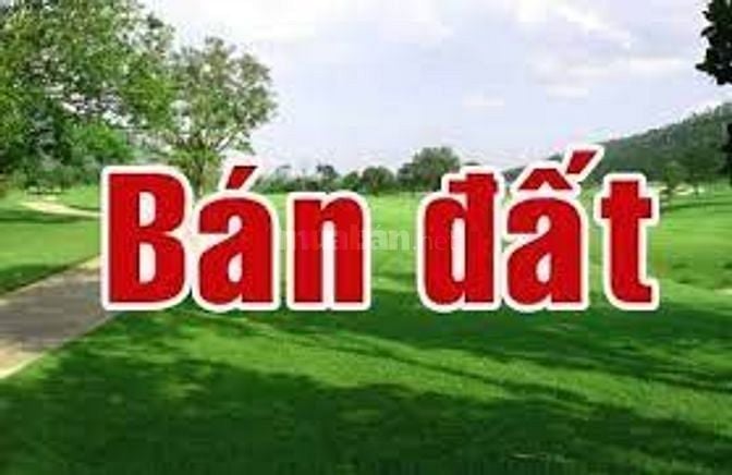 Chính Chủ Bán Lô Đất 256M2 Tại Phù Lưu, Huyện Ứng Hòa