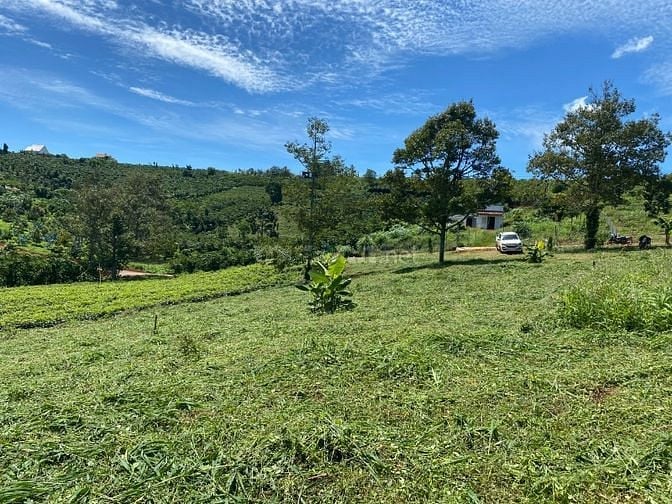 Gần tt T.p Bảo Lộc, view đồi thông, 450m2 sẵn thổ cư, SHR. Giá 675tr