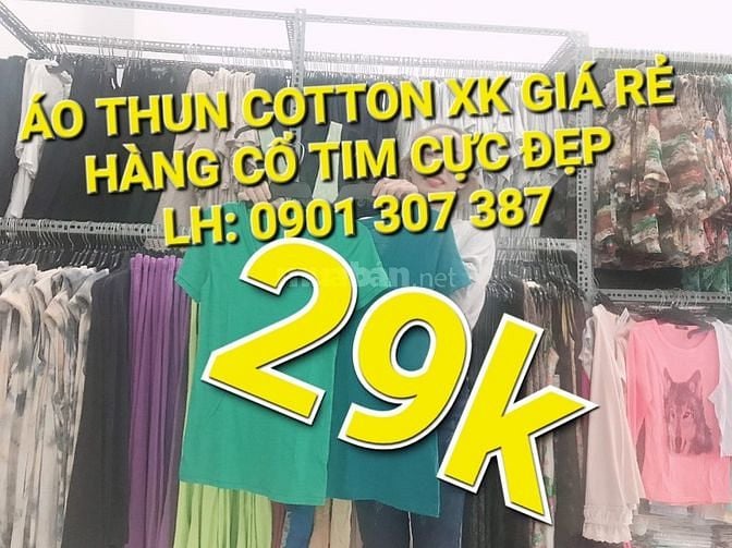Xả hàng áo phông cổ tim hàng xuất khẩu cao cấp chỉ có 1 lô duy nhất