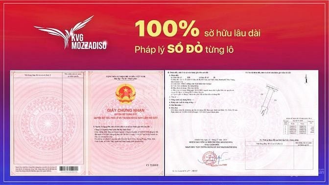 Nhận booking dự án Mozzadiso KĐT Mỹ Gia gói 6 chiết khấu cao nhất