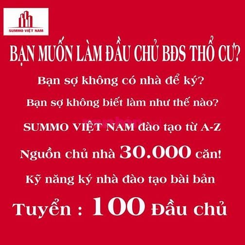 TUYỂN DỤNG ĐẦU CHỦ SUMMO VIỆT NAM