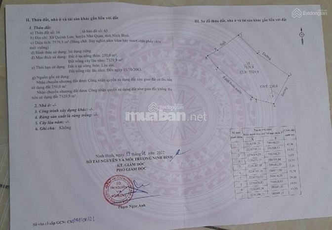 GĐ em bán lô đất rộng hơn 7579,5m2 tại Quỳnh Lưu, Nho Quan, Ninh Bình