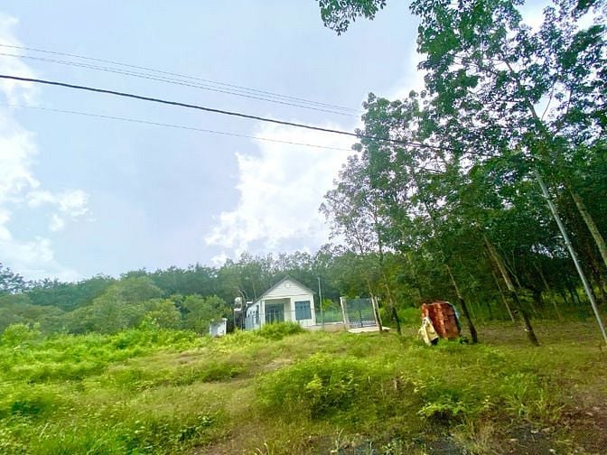 Tôi có 350m2 đất thổ cư tại Bình Phước cần bán