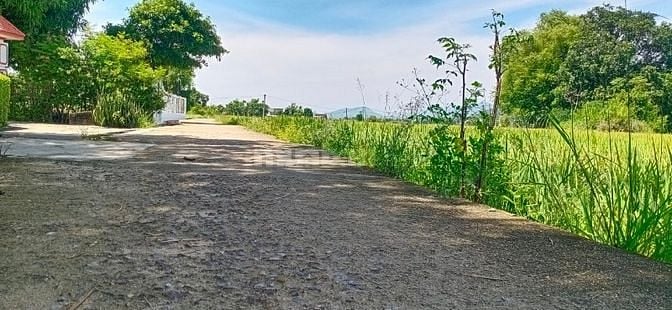 Chủ cần bán gấp 140m2 đất gần chợ luật chánh, Phước Hiệp 
