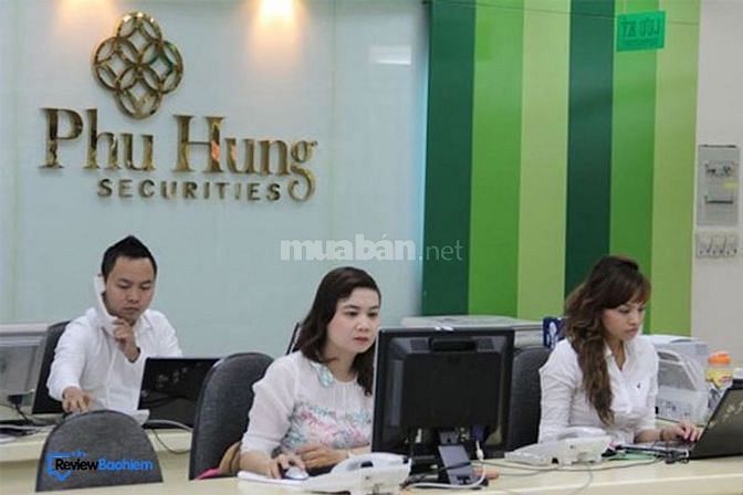 nhân viên hỗ trợ hoat động kinh doanh tại văn phòng