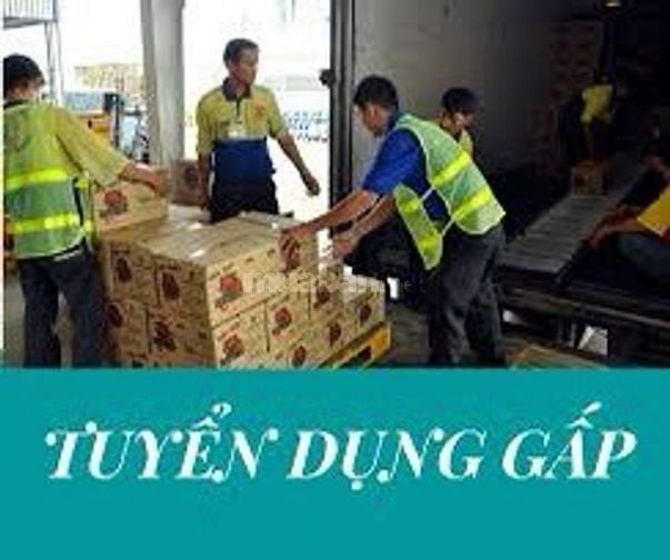 Tuyển Nhân Viên Lái Xe Phụ Xe LĐPT Bốc Xếp Giao Nhận Hàng Tại NGHỆ AN