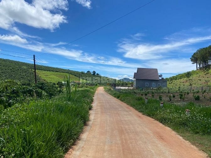 2500m2 Mê Linh - Gân DT725 - DL 16KM- view rừng thông - 1ty/1000m2