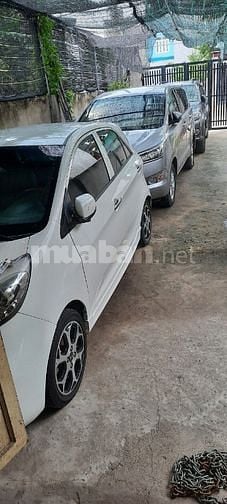 Cho thuê xe tự lái, có tài tại TPHCM: Kia Morning, Innova, Honda City