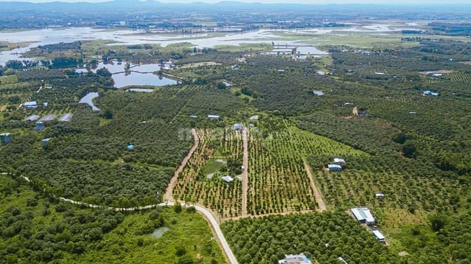 Bán Đất Vườn Xã La Ngà, Định Quán, Đồng Nai 1 triệu/m2