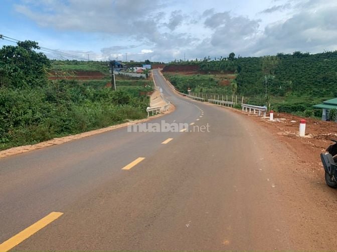 MT chính Phùng Hưng,tp Bảo lộc