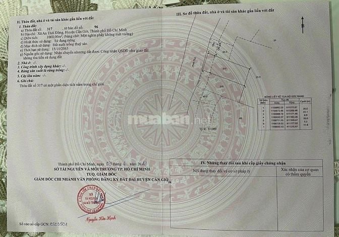Bán đất Lý Nhơn, x.An Thới Đông, CG: 20 x 50, giá 1,52tỷ