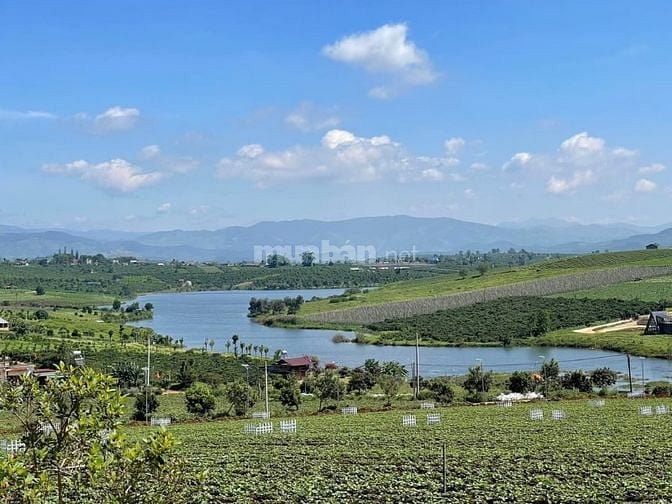 Bán đất view hồ Phúc Thọ 552m2, sổ đỏ full thổ cư