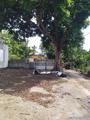 Bán đất tại thôn Yên Kiện, xã Đông Sơn, Chương Mỹ