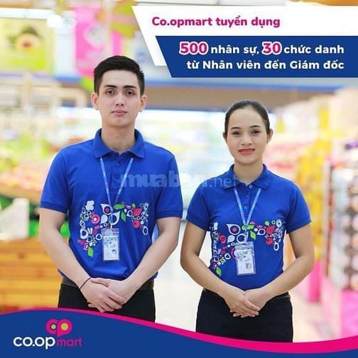 Tuyển 80 LĐPT( Thu Ngân, Đóng Gói, Trực Quầy, Bảo Vệ, Tạp Vụ)