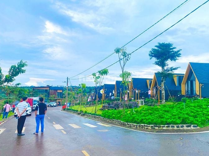 Đất nghĩ dưỡng Bảo Lộc view đồi thông giá đầu tư
