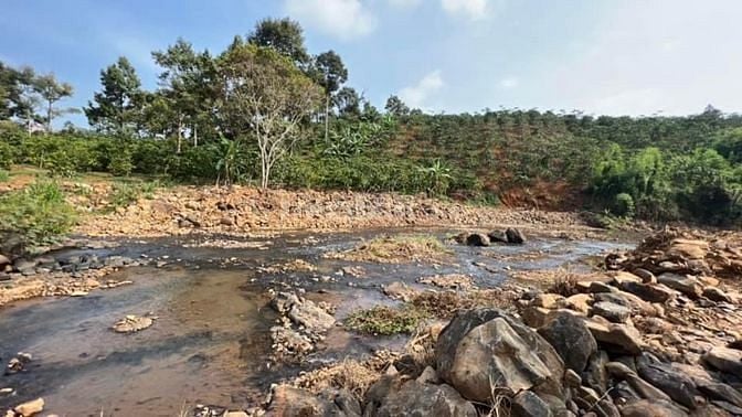 Chủ cần gấp bán 9900m2 đất ven sông Đại Nga, TP Bảo Lộc