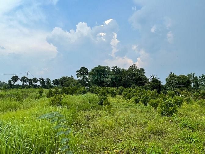 Bán đất  nghỉ dưỡng rất đẹp, Ấp 4, Bình Lộc, Long Khánh