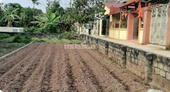 Bán  ĐẤT THẠCH BÀN,Long Biên 50m MT 4,7m, NHỈNH 3,5 TỶ , oto,KD