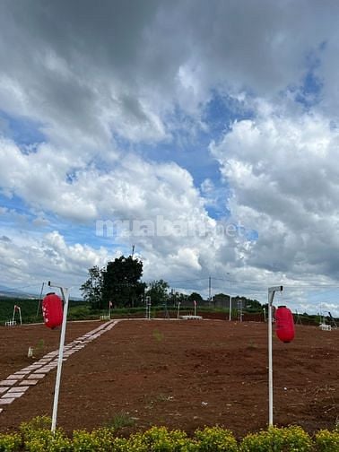 Chỉ với 640 triệu sở hữu nền đất nghỉ dưỡng view đồi chè, tại Bảo Lộc.